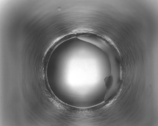 X0000066010973200603101552