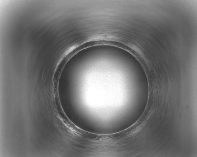 X0000066010974200603101552