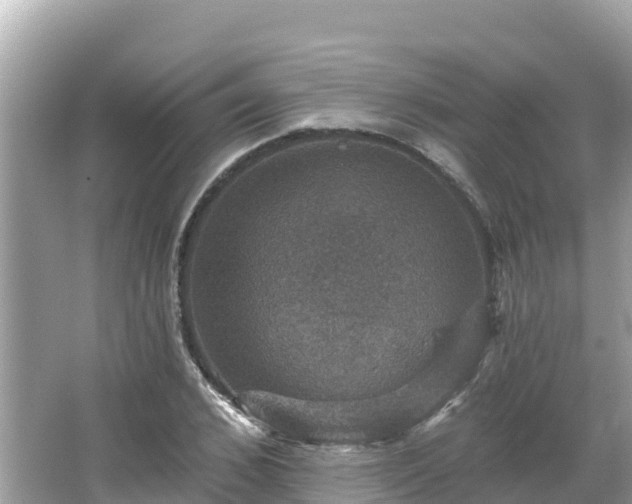 X0000066010976200603101552