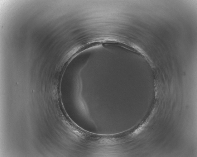 X0000066010977200603101552