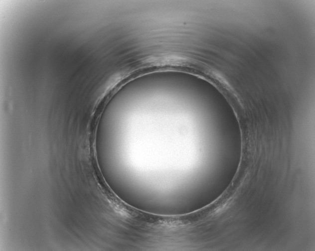 X0000066010978200603101552