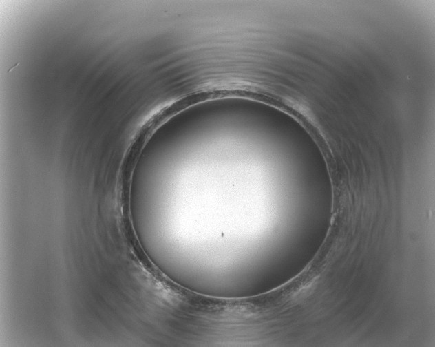 X0000066010979200603101552