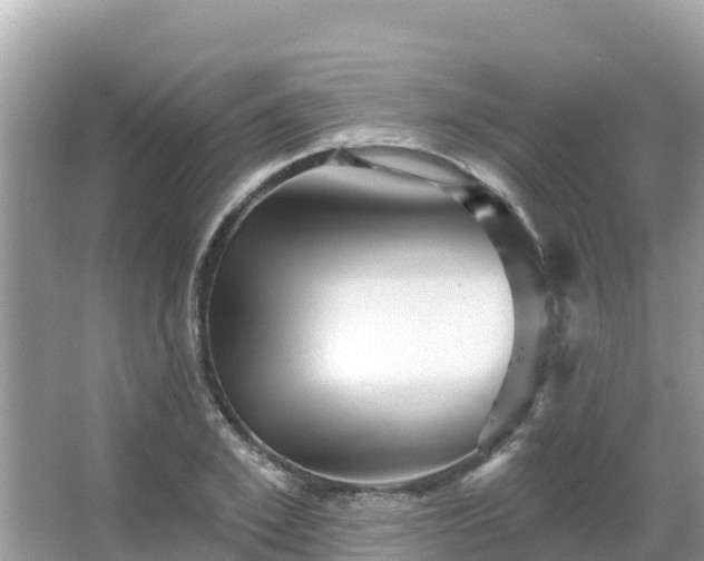 X0000066010981200603101552