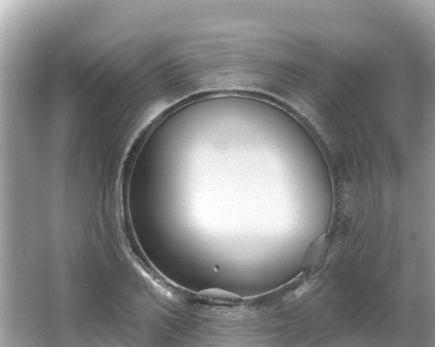 X0000066010982200603101552