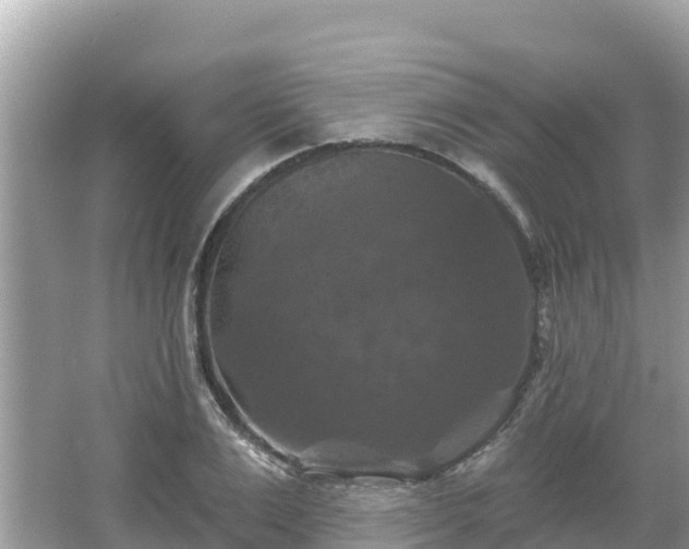 X0000066010983200603101552