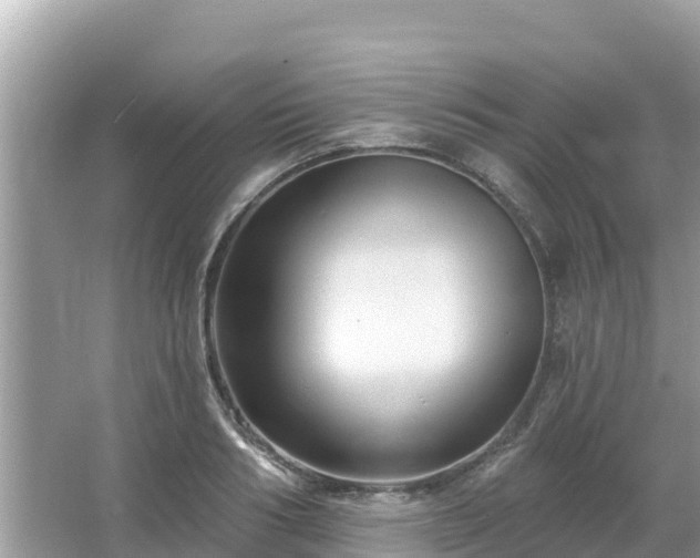 X0000066010986200603101552