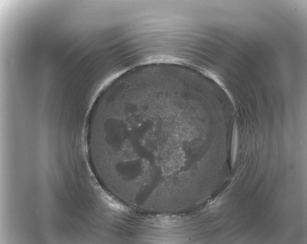 X0000066010987200603101552