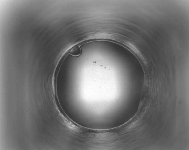 X0000066010988200603101552