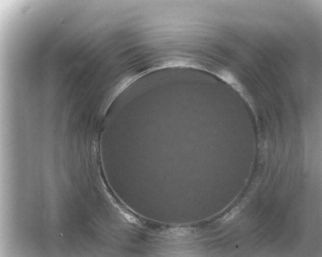 X0000066010993200603101552