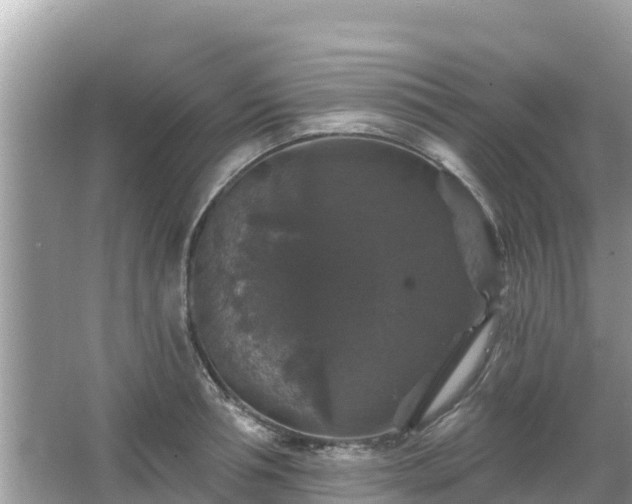 X0000066010994200603101552