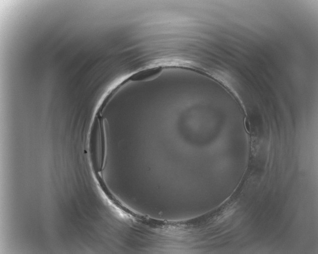 X0000066010995200603101552