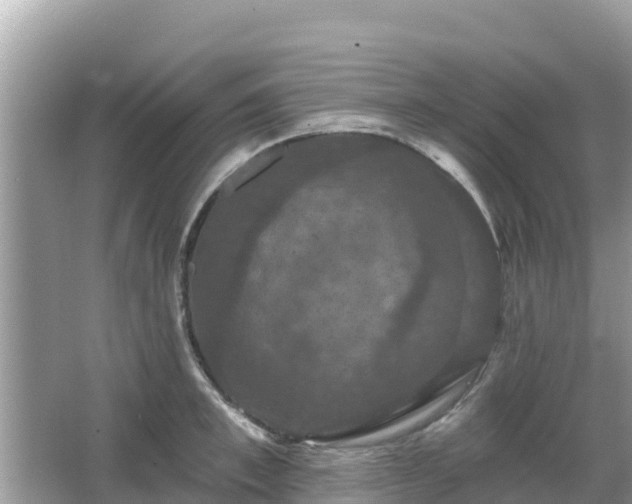 X0000066010997200603101552