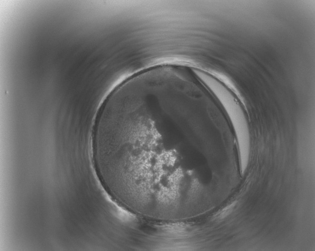 X0000066010999200603101552