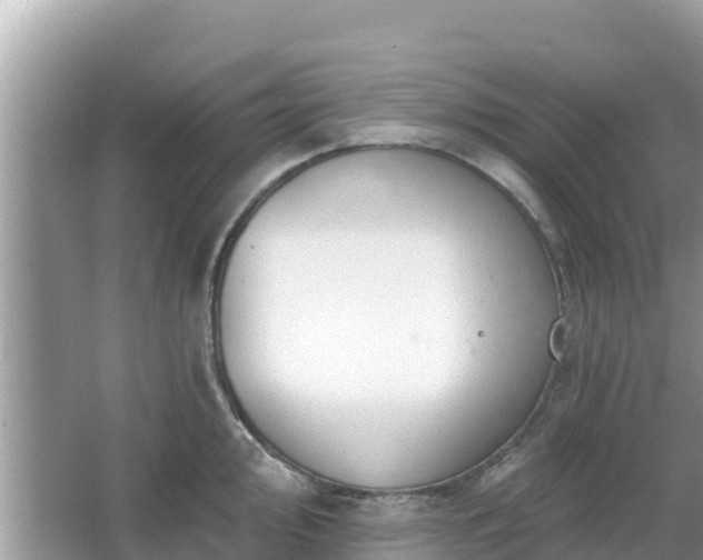 X0000066011000200603101552