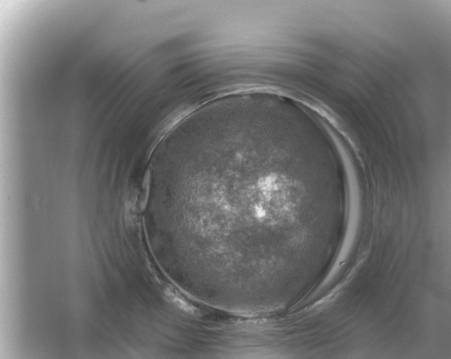 X0000066011001200603101552