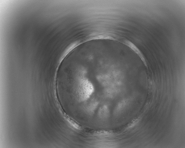 X0000066011002200603101552