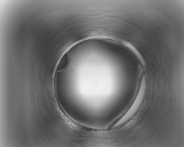 X0000066011004200603101552