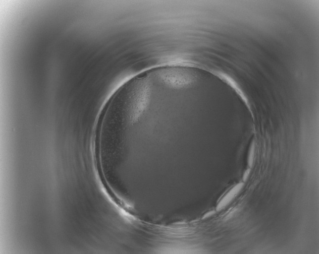 X0000066011007200603101552