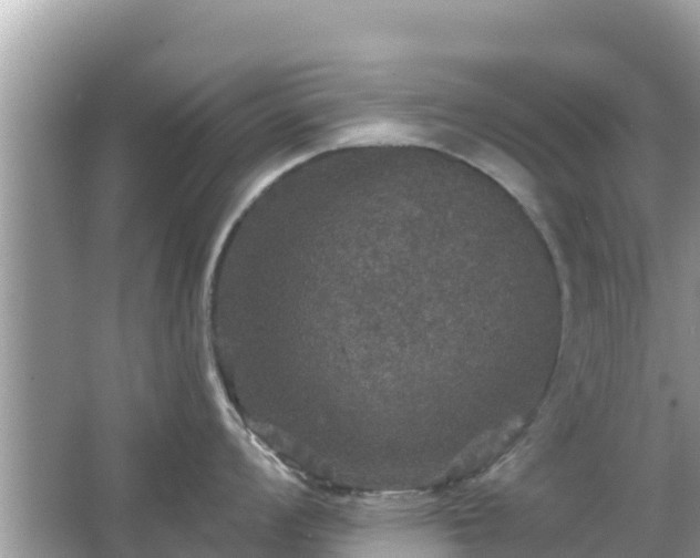 X0000066011008200603101552