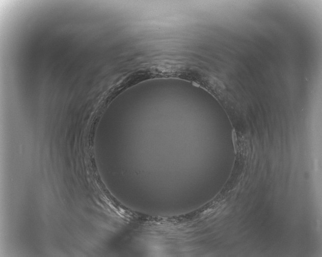 X0000066011009200603101551