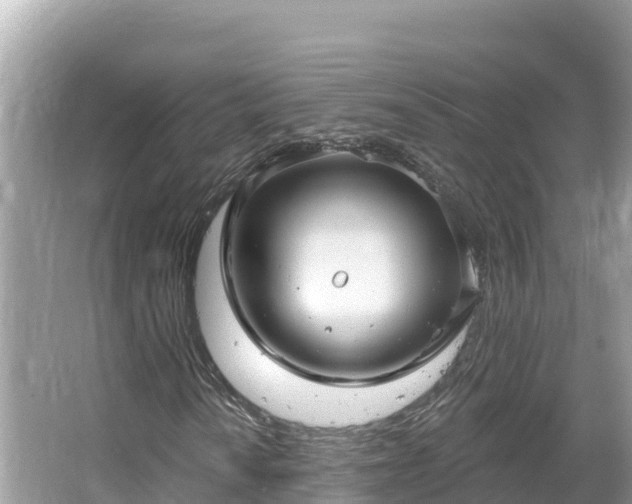 X0000066011010200603101551