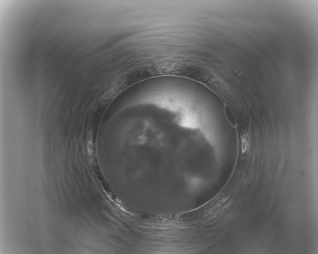 X0000066011011200603101551