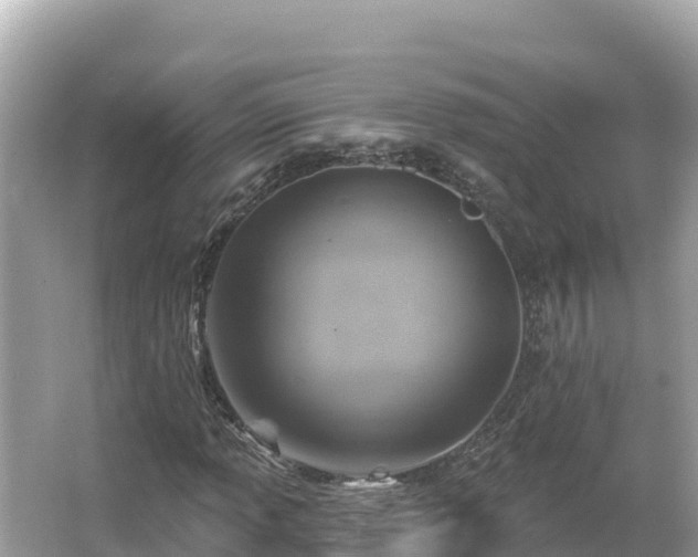 X0000066011013200603101551