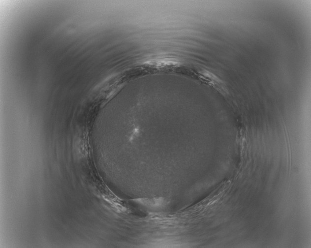 X0000066011014200603101551