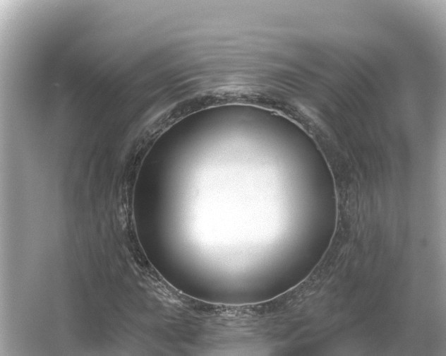 X0000066011015200603101551