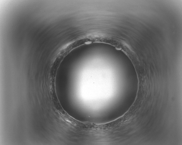 X0000066011016200603101551