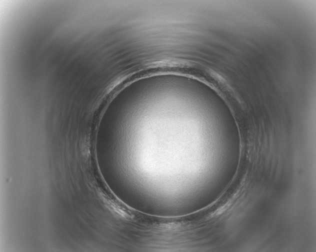 X0000066011017200603101551