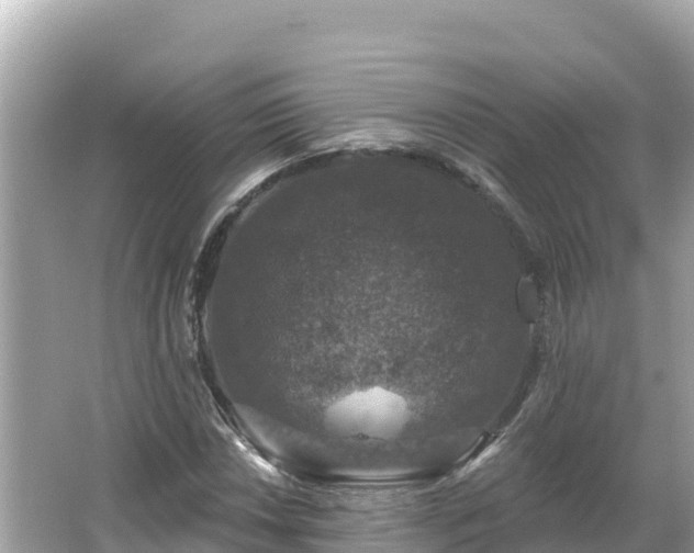 X0000066011018200603101551