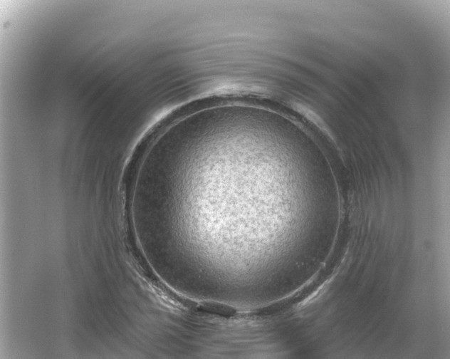 X0000066011021200603101551