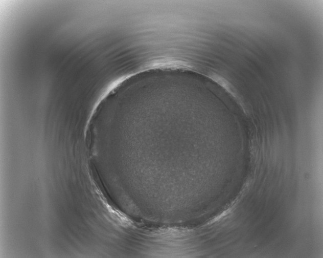 X0000066011022200603101551