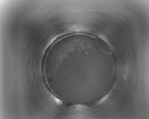 X0000066011023200603101551