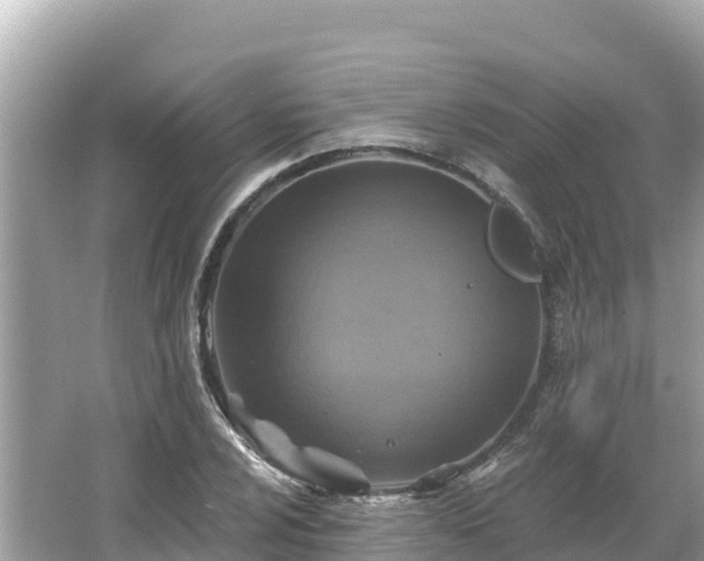 X0000066011024200603101551