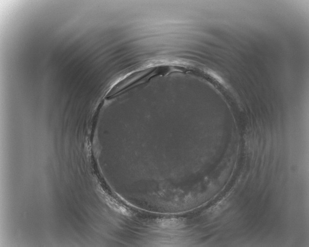 X0000066011025200603101551