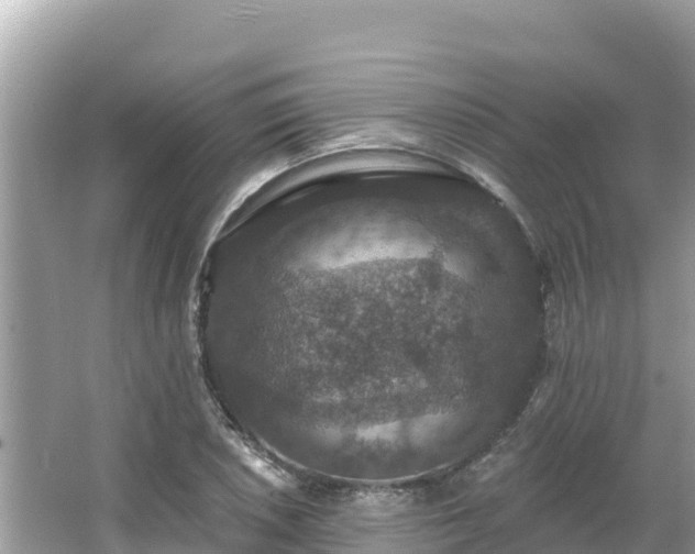 X0000066011026200603101551