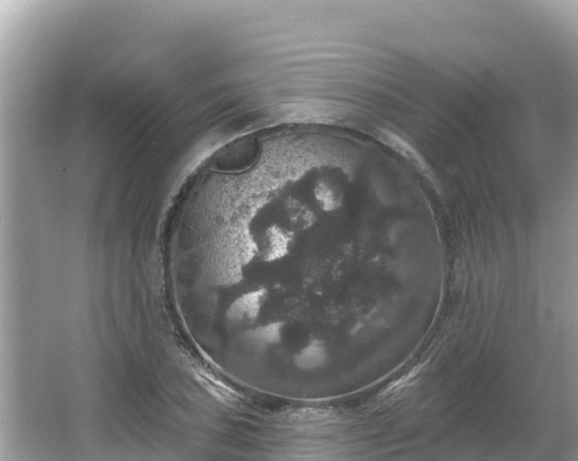 X0000066011027200603101551