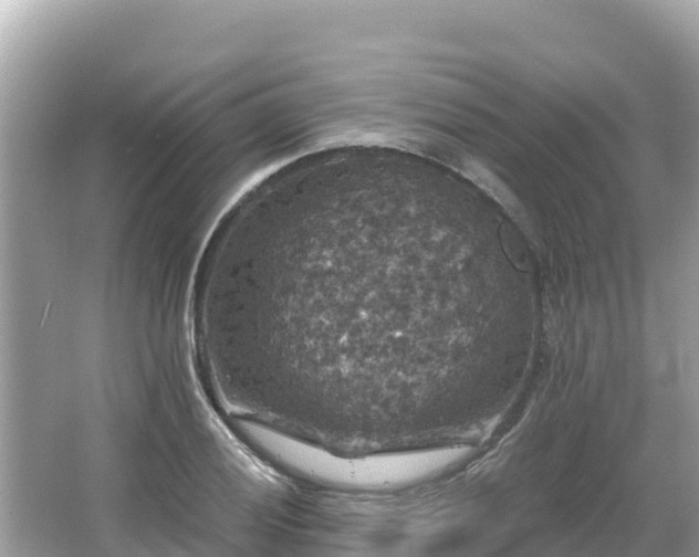 X0000066011028200603101551