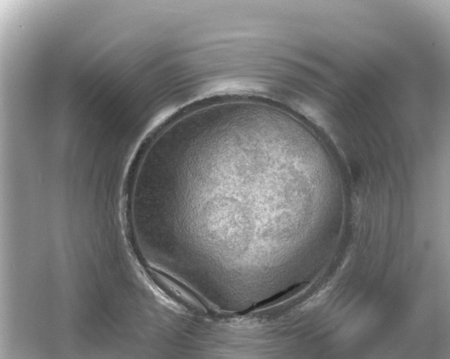 X0000066011029200603101551