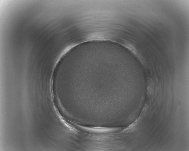 X0000066011030200603101551