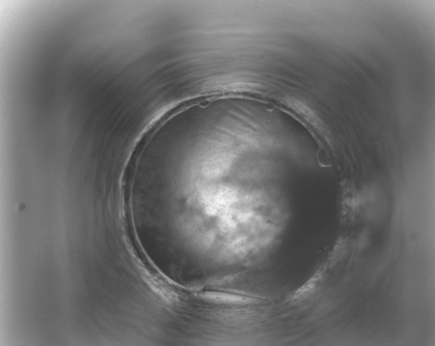 X0000066011031200603101551