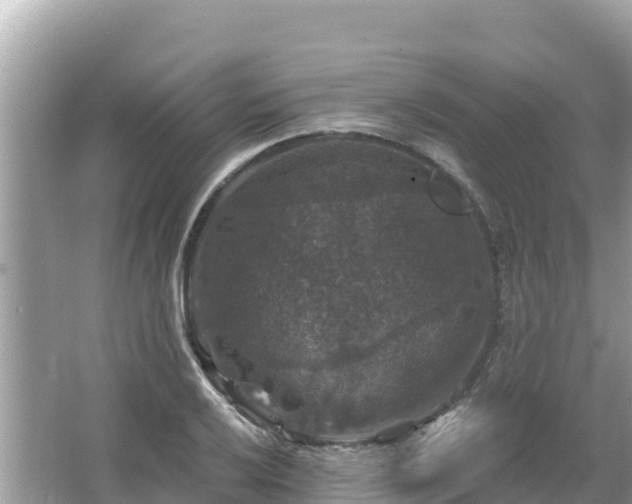 X0000066011032200603101551