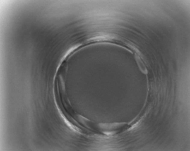 X0000066011034200603101551