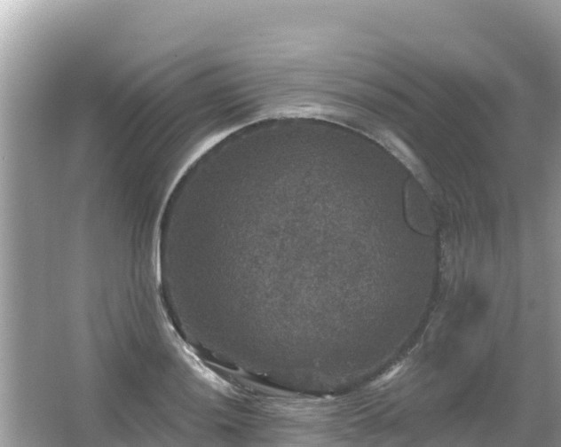 X0000066011036200603101551