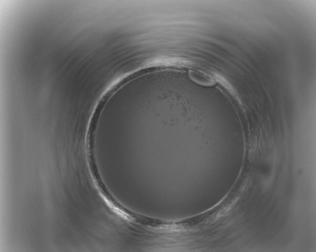 X0000066011037200603101551