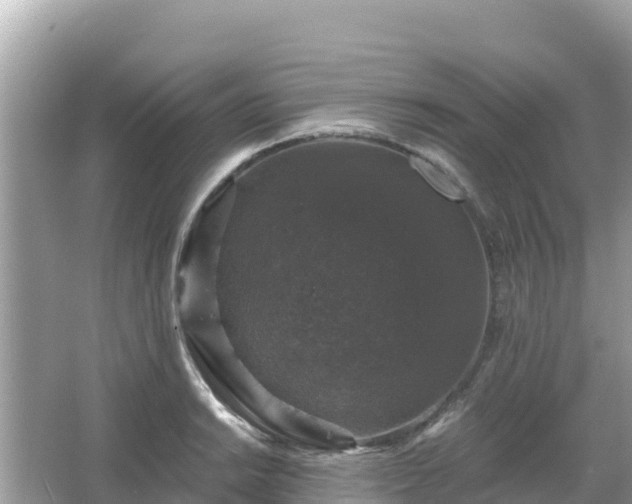 X0000066011038200603101551