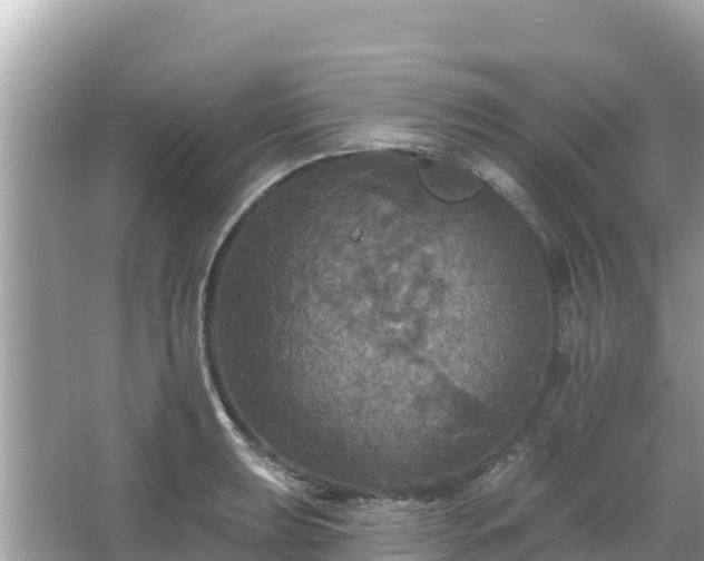 X0000066011039200603101551