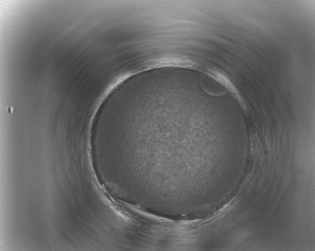 X0000066011043200603101551